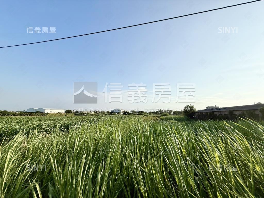 西港潛力方正農地房屋室內格局與周邊環境