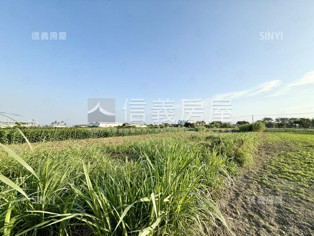 西港潛力方正農地房屋室內格局與周邊環境