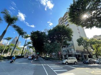 仁愛路面林蔭四房附大車位