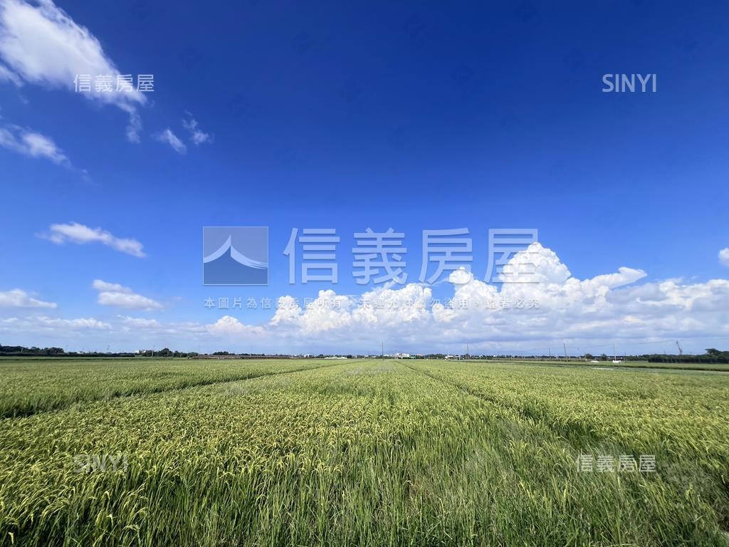 麻豆開心農場房屋室內格局與周邊環境