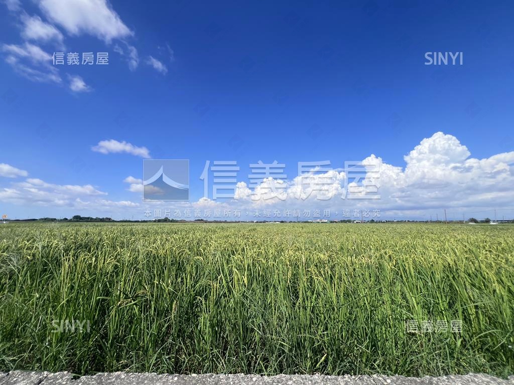 麻豆開心農場房屋室內格局與周邊環境