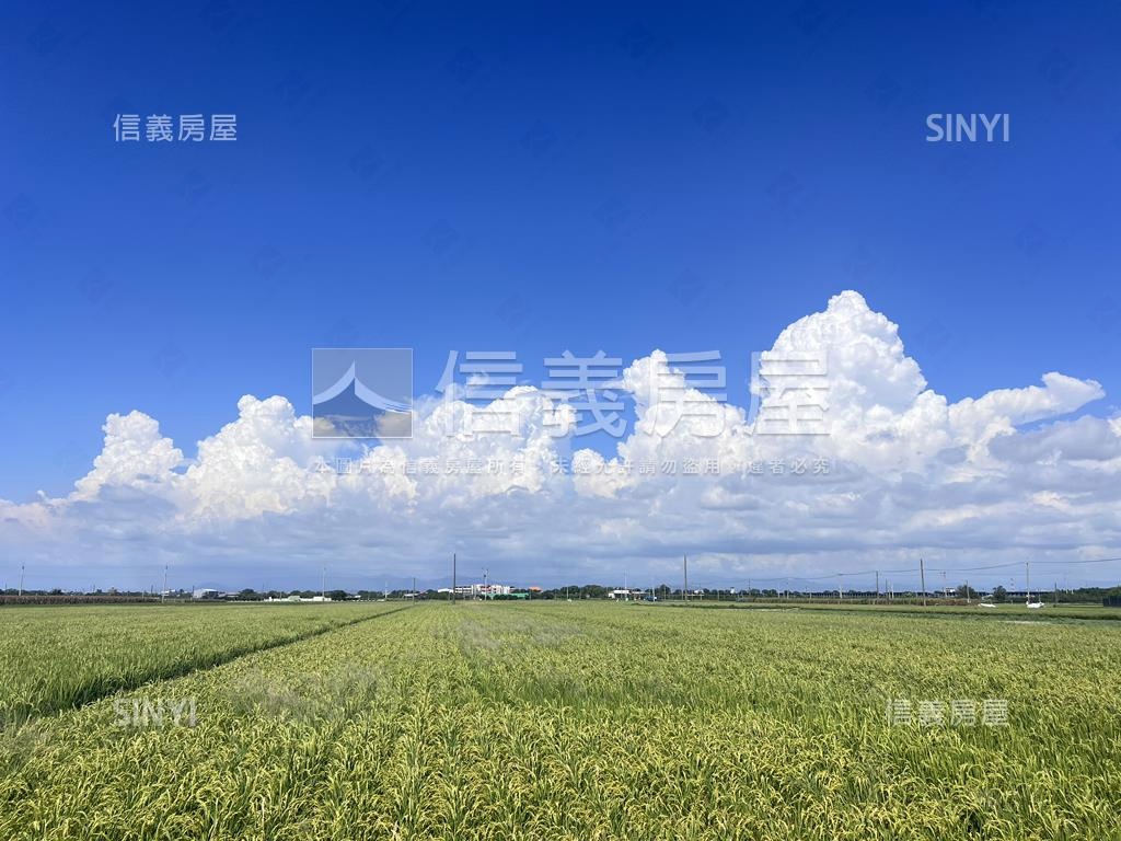 麻豆開心農場房屋室內格局與周邊環境