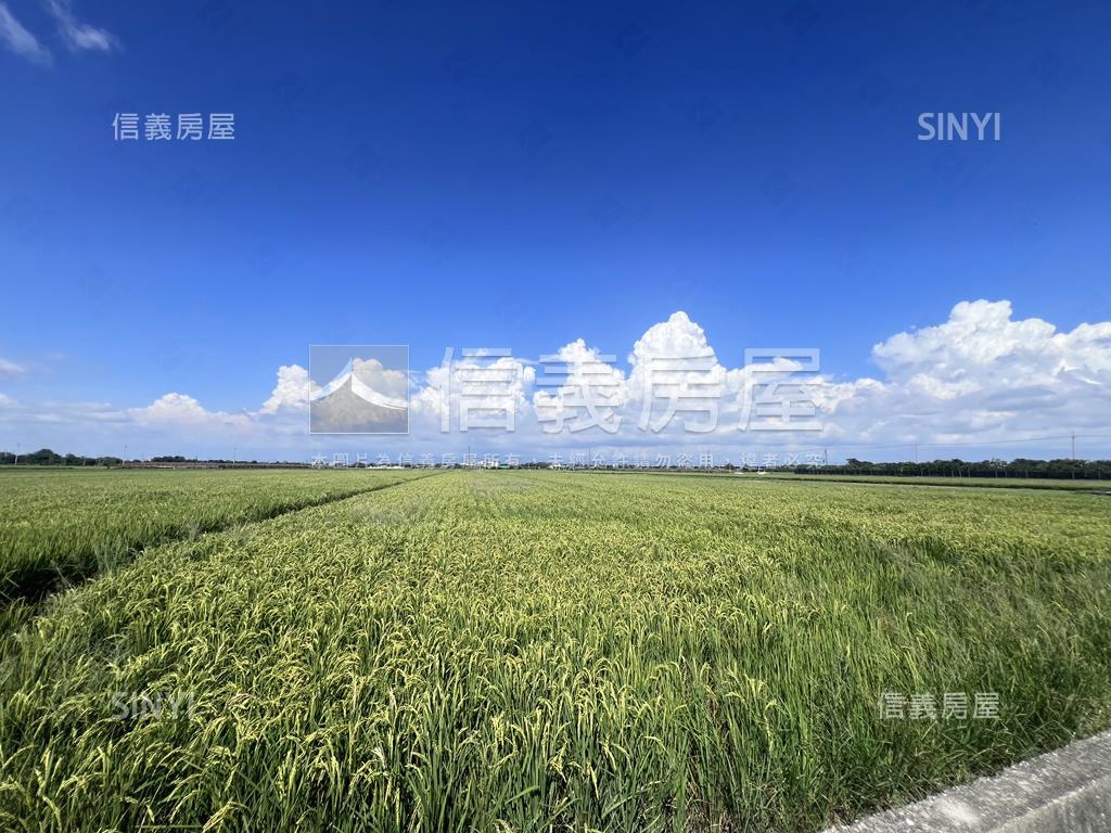 麻豆開心農場房屋室內格局與周邊環境