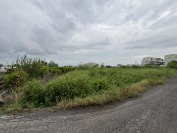 大社一般農地ＩＩ