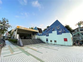 民族金雞母大空間