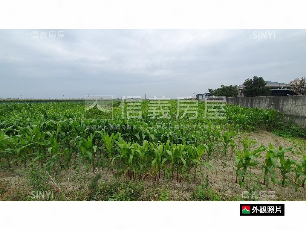 七股竹橋國小旁美好土地房屋室內格局與周邊環境
