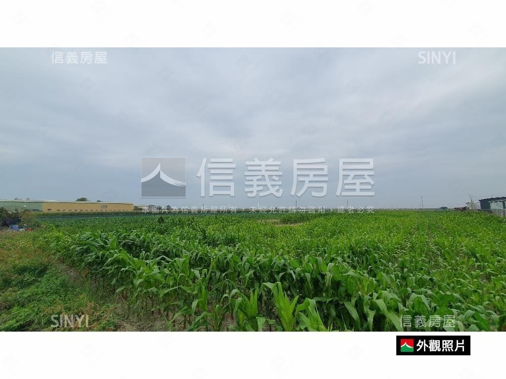 七股竹橋國小旁美好土地房屋室內格局與周邊環境