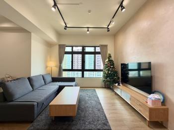 面公園景觀達文西兩房車位