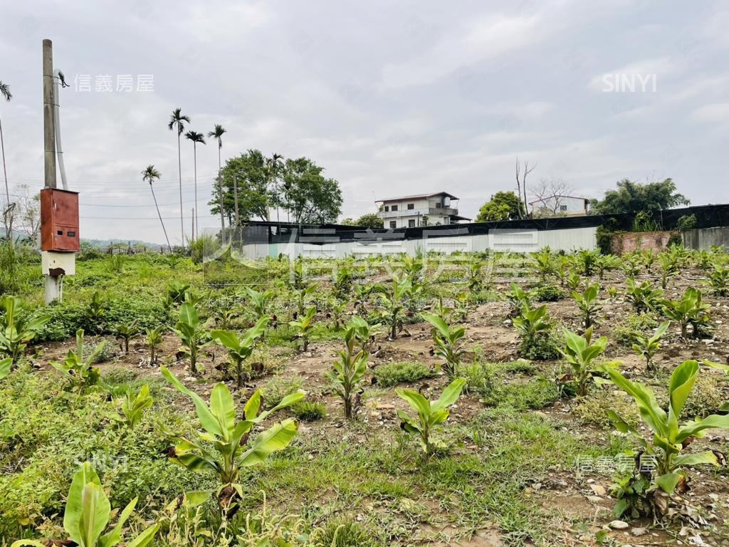 誠售！！新社千坪開心農場房屋室內格局與周邊環境