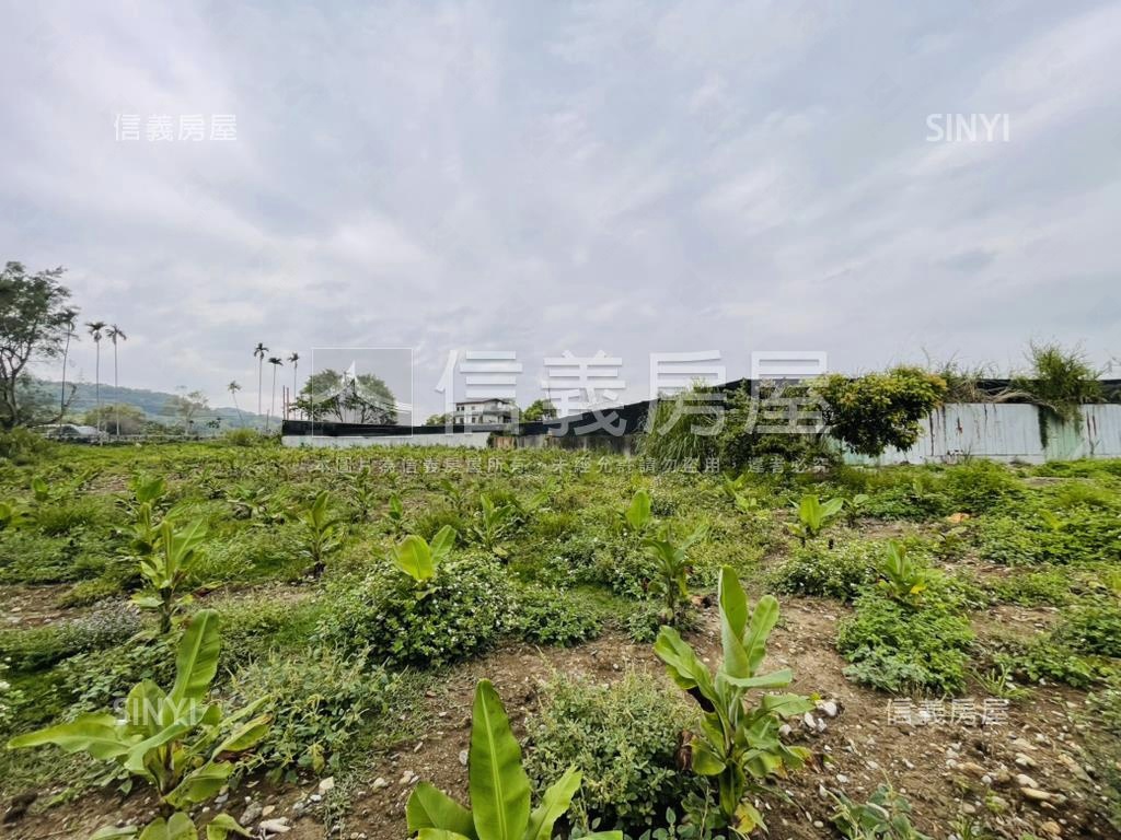 誠售！！新社千坪開心農場房屋室內格局與周邊環境