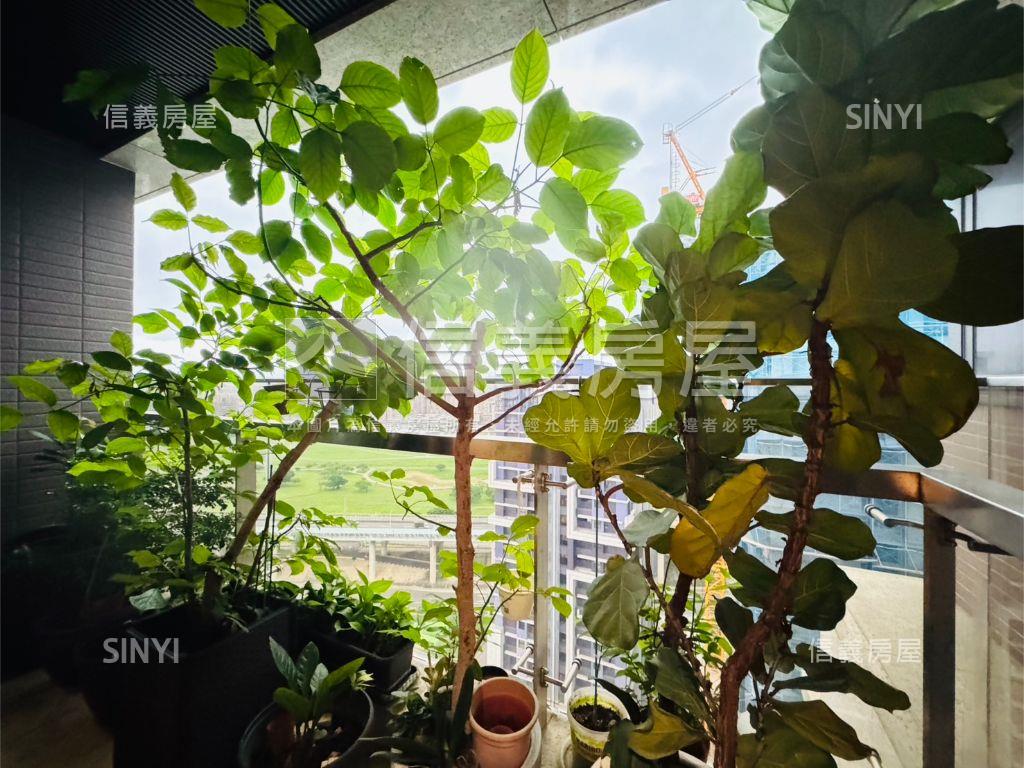 群光之星高品裝潢４房車位房屋室內格局與周邊環境