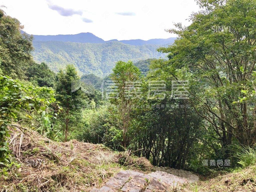 平廣世外桃源房屋室內格局與周邊環境