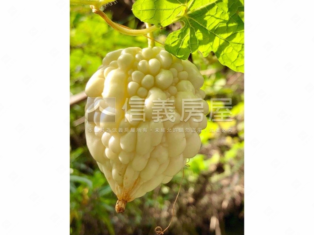 平廣世外桃源房屋室內格局與周邊環境