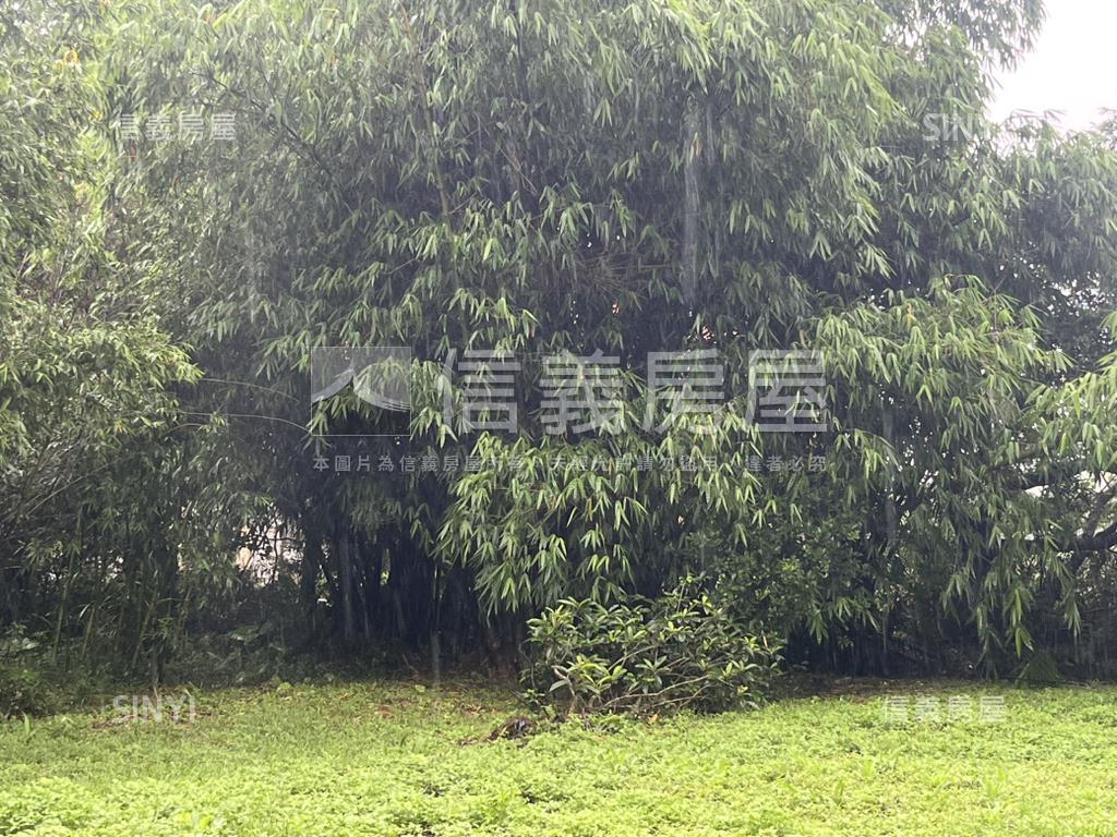 龍潭區原木屋附近持分農地房屋室內格局與周邊環境