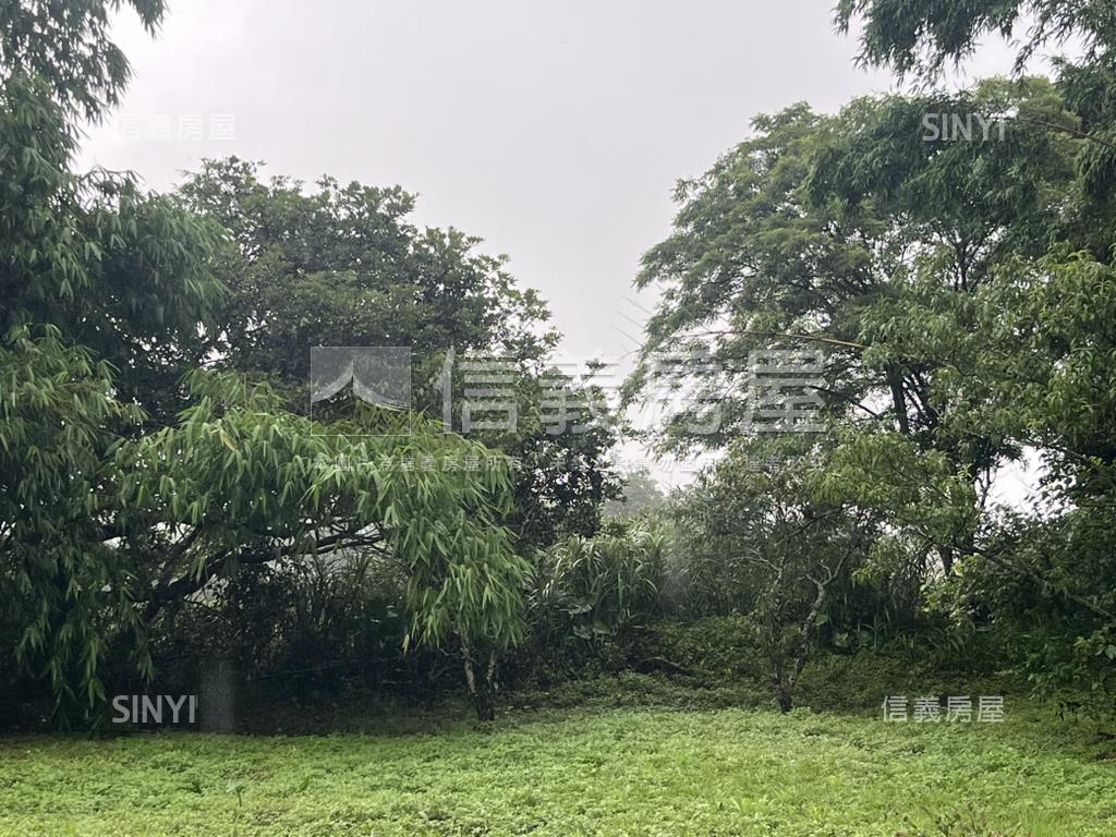 龍潭區原木屋附近持分農地房屋室內格局與周邊環境