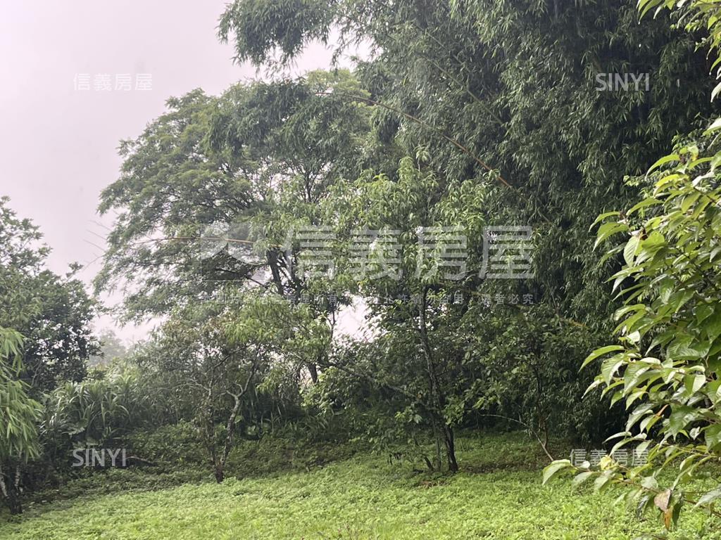 龍潭區原木屋附近持分農地房屋室內格局與周邊環境
