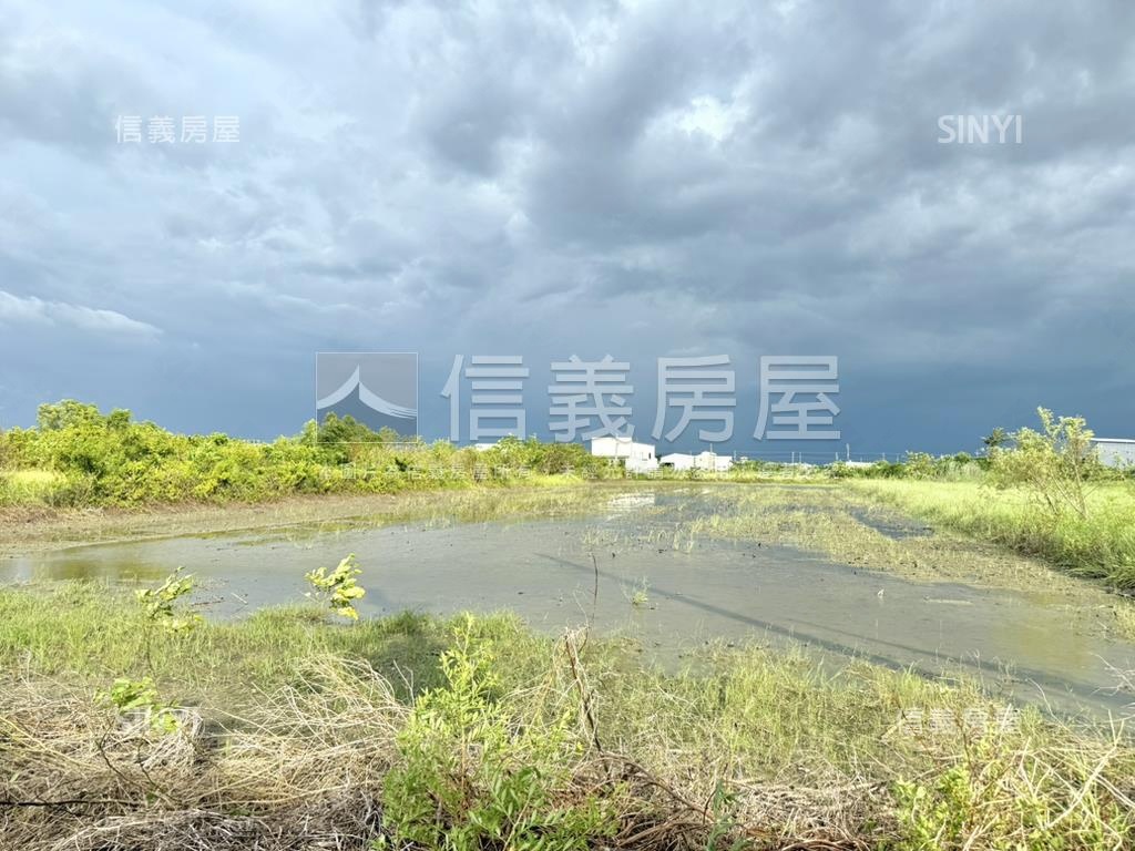 安定約７２６坪農地房屋室內格局與周邊環境