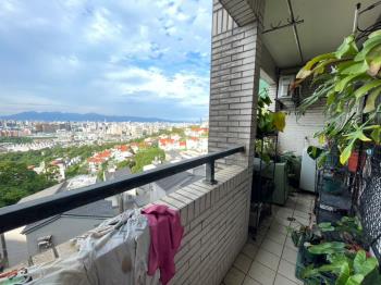 龍飛鳳舞遼闊天際