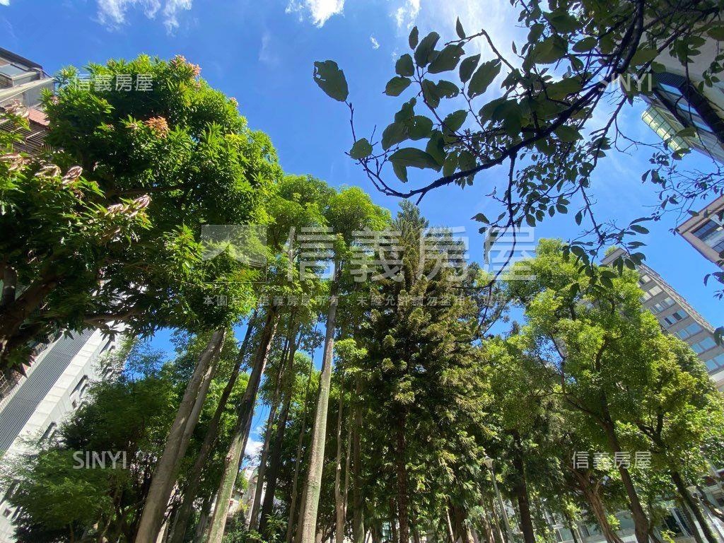 三面採光面公園附中設籍房屋室內格局與周邊環境