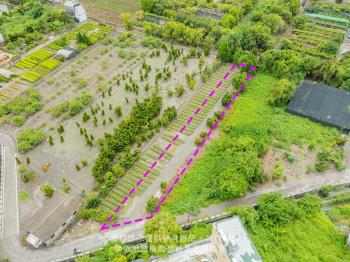 彰化田尾鄉開心農場１