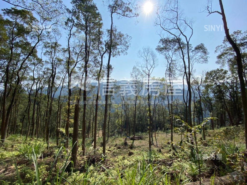 大山背視野休閒地房屋室內格局與周邊環境