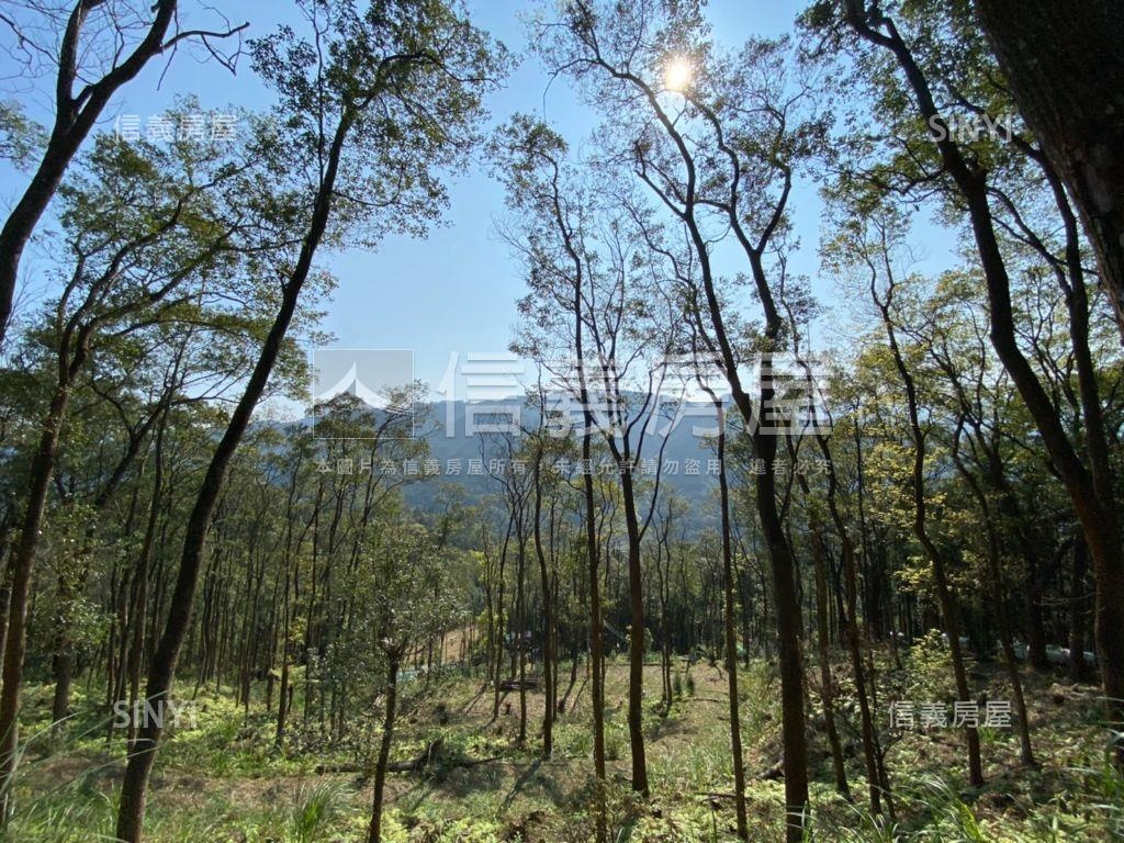 大山背視野休閒地房屋室內格局與周邊環境