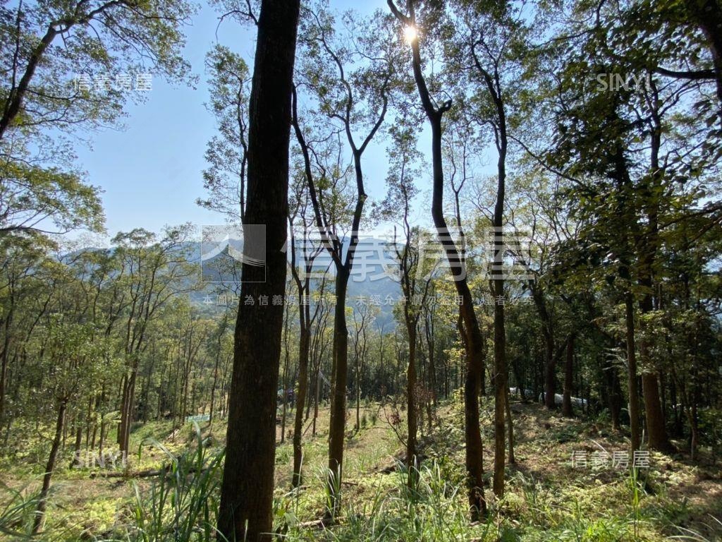 大山背視野休閒地房屋室內格局與周邊環境