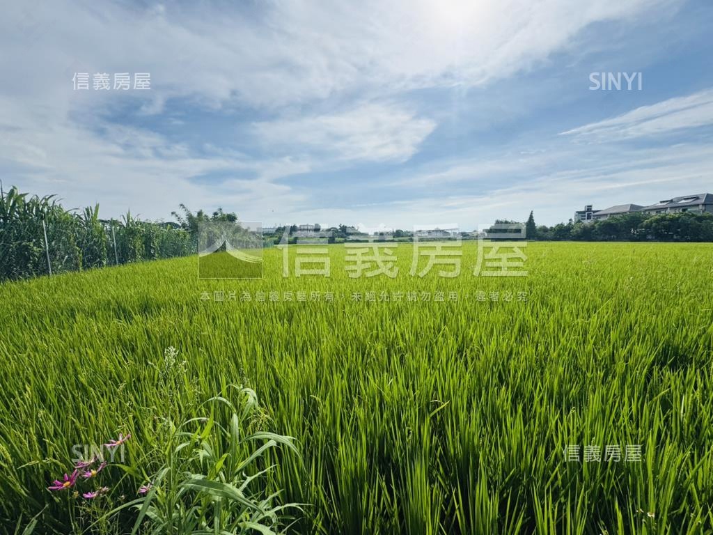 近Ａ１９青埔７６１坪農地房屋室內格局與周邊環境