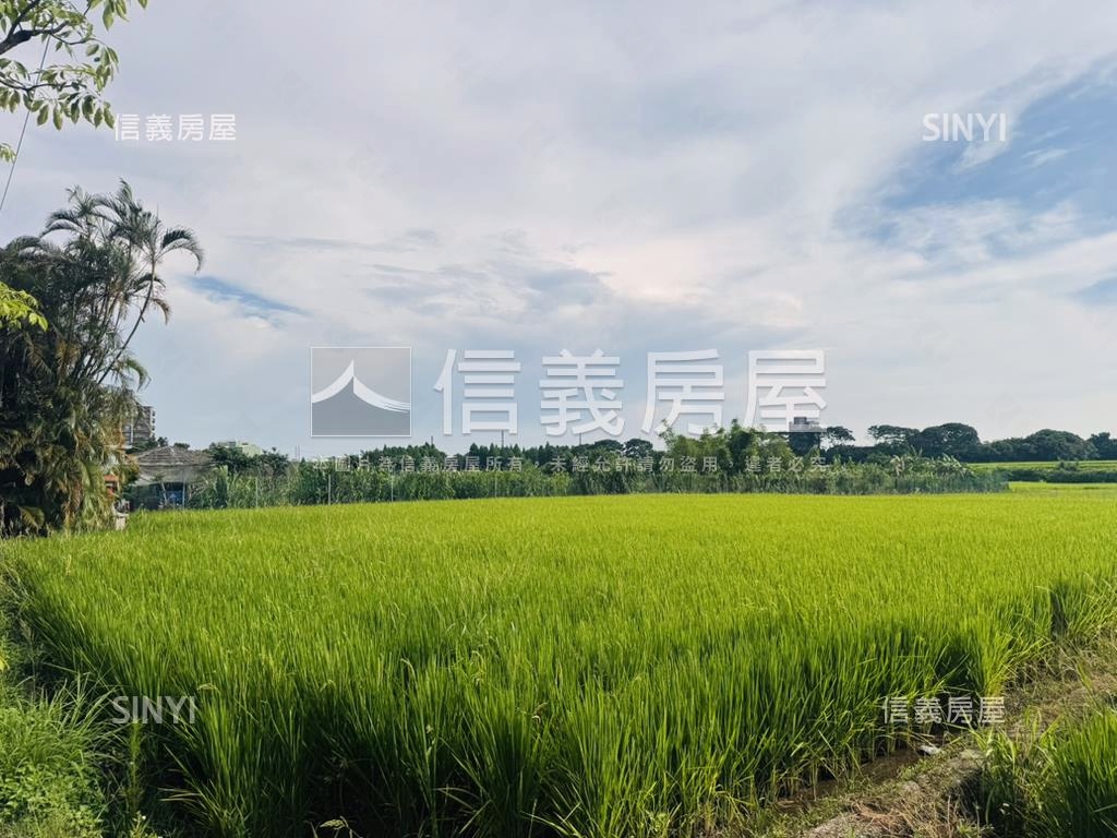 近Ａ１９青埔７６１坪農地房屋室內格局與周邊環境