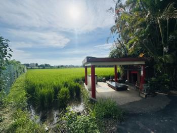 近Ａ１９青埔７６１坪農地