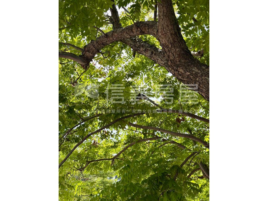 ㊣士東路店面房屋室內格局與周邊環境