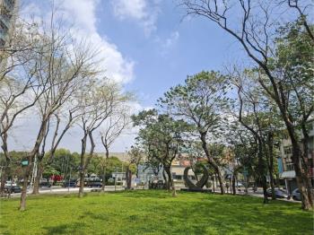 美術園道第一排質感透店