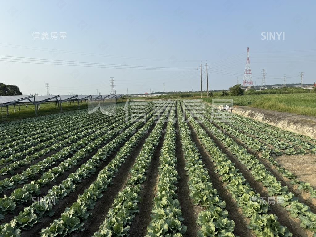 東勢寮約１０３６坪農地房屋室內格局與周邊環境