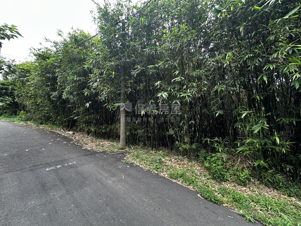 淡水小坪頂路旁優質土地房屋室內格局與周邊環境