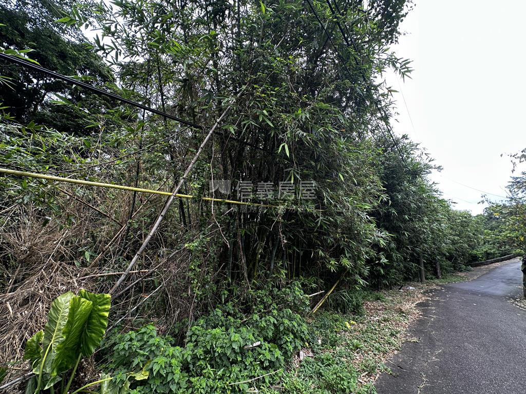 淡水小坪頂路旁優質土地房屋室內格局與周邊環境