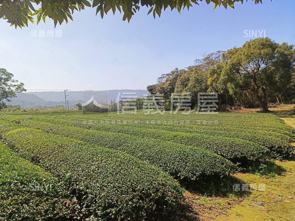 龍潭區北坑段茶園房屋室內格局與周邊環境