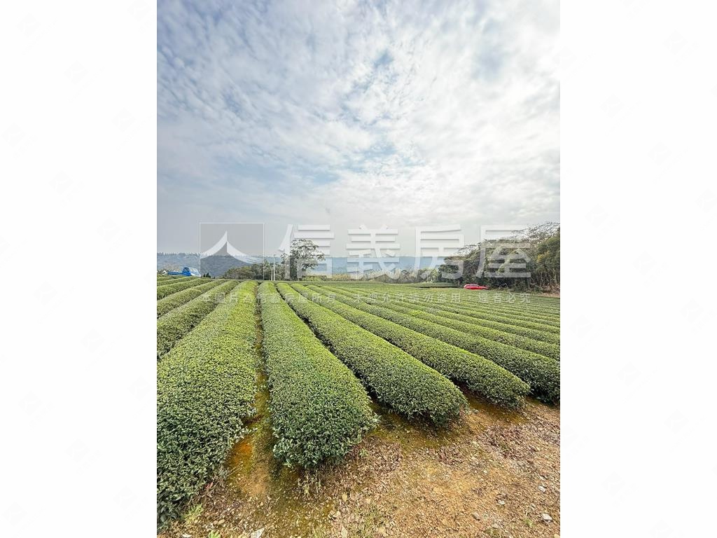 龍潭區北坑段茶園房屋室內格局與周邊環境