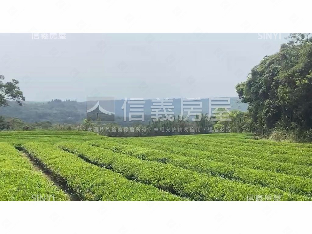 龍潭區北坑段茶園房屋室內格局與周邊環境