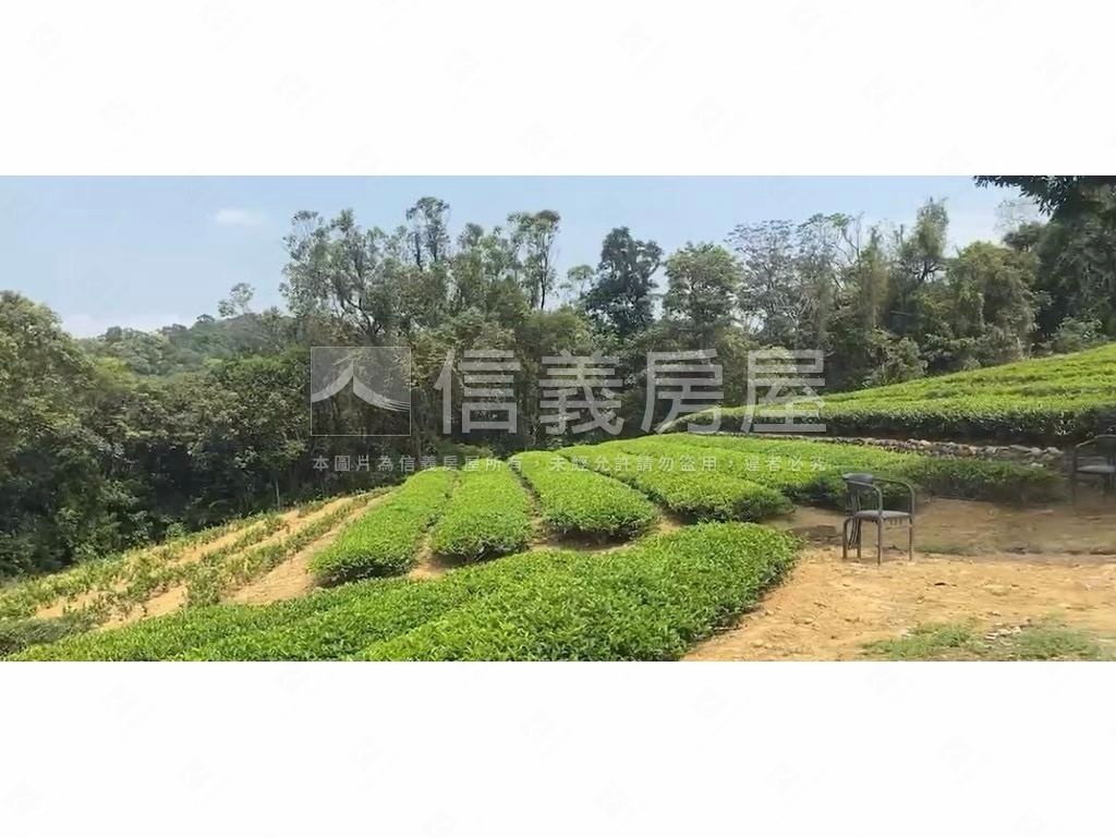 龍潭區北坑段茶園房屋室內格局與周邊環境