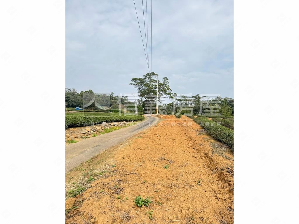龍潭區北坑段茶園房屋室內格局與周邊環境