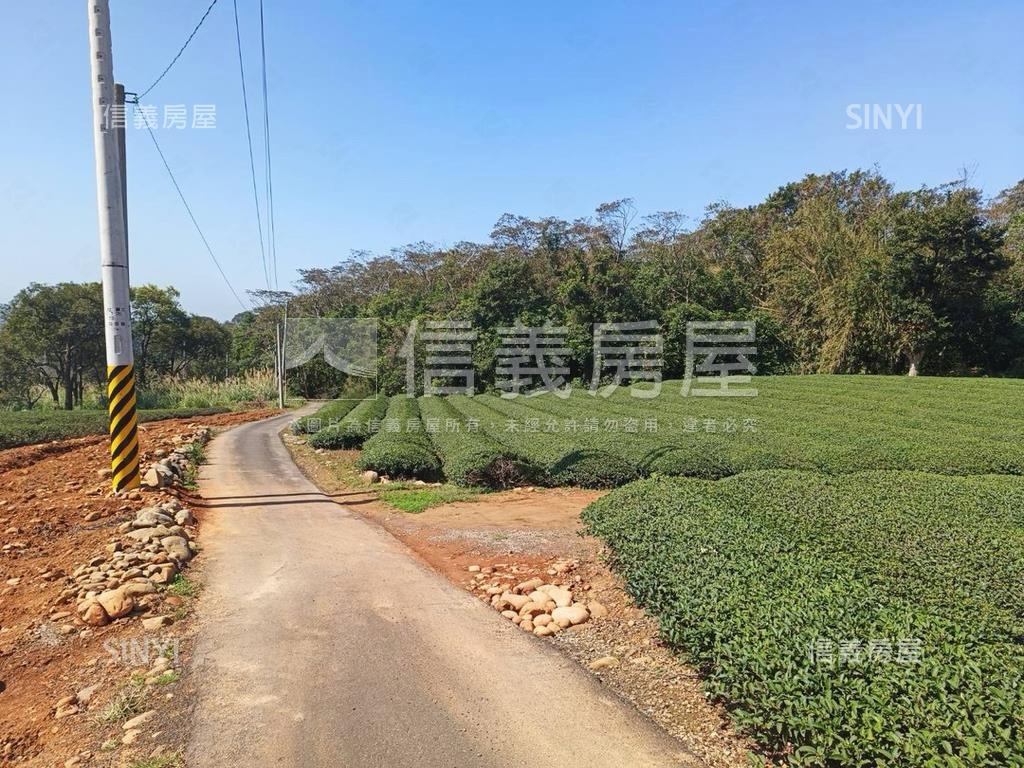 龍潭區北坑段茶園房屋室內格局與周邊環境