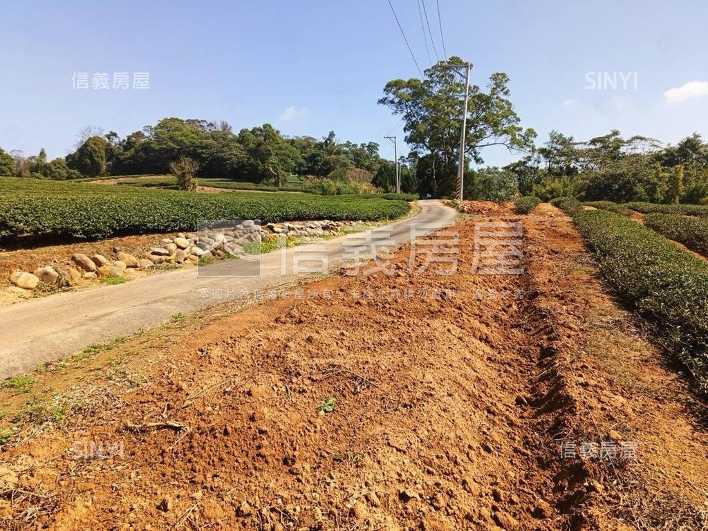 龍潭區北坑段茶園房屋室內格局與周邊環境