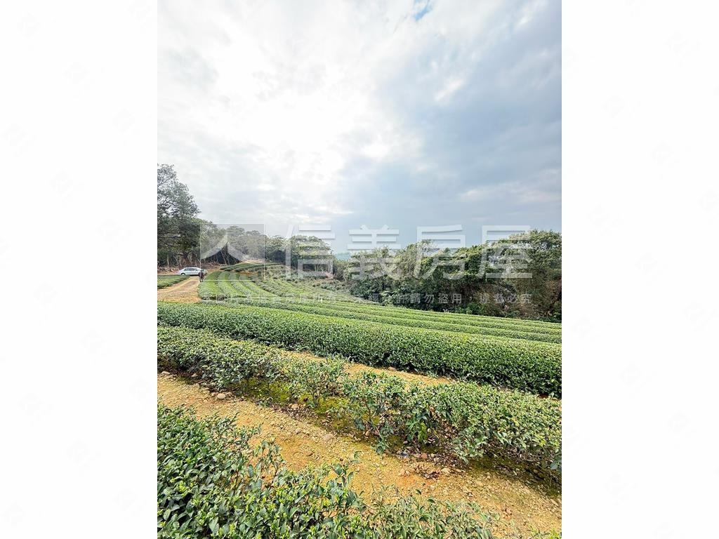 龍潭區北坑段茶園房屋室內格局與周邊環境