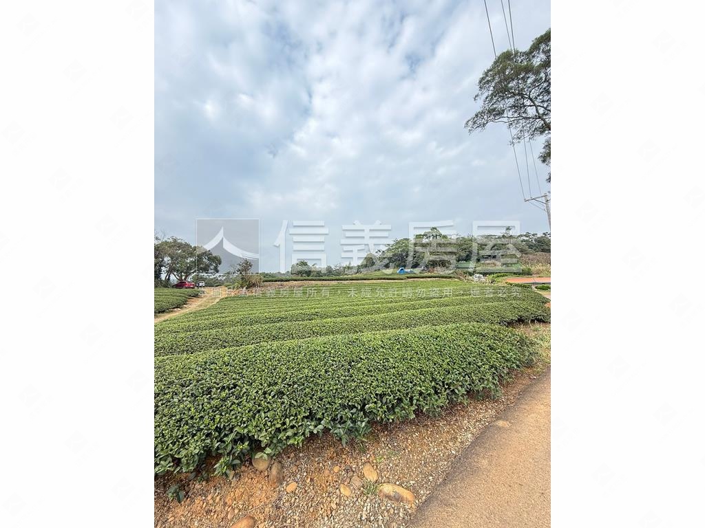 龍潭區北坑段茶園房屋室內格局與周邊環境