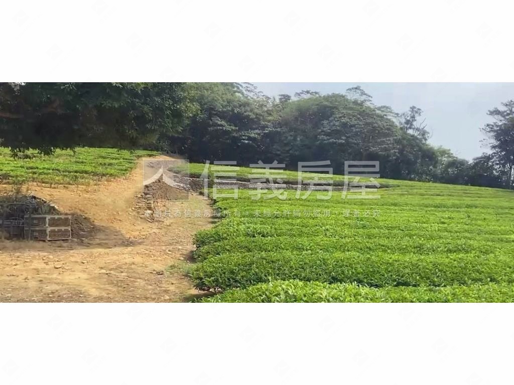 龍潭區北坑段茶園房屋室內格局與周邊環境