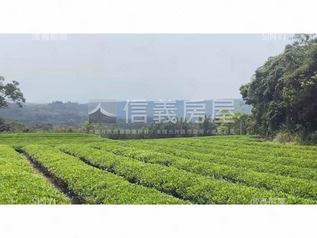 龍潭區北坑段茶園房屋室內格局與周邊環境