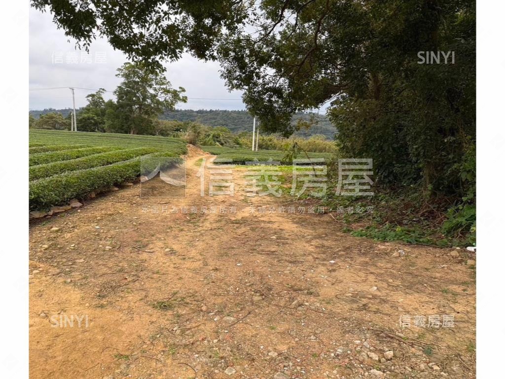 龍潭區北坑段茶園房屋室內格局與周邊環境