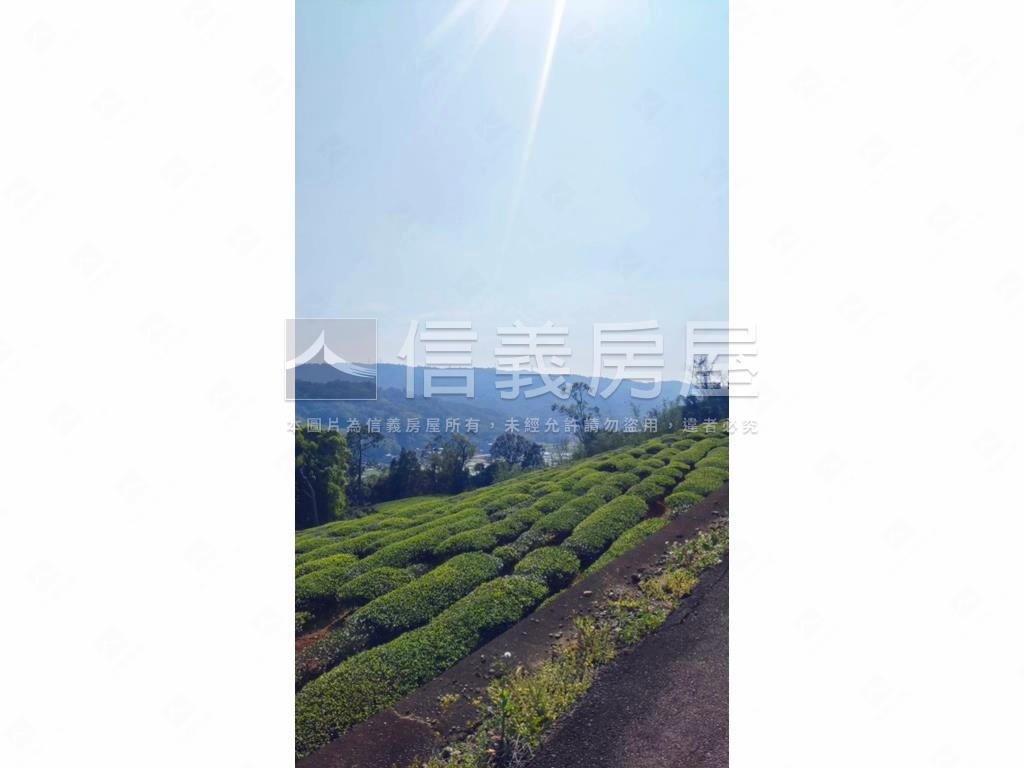 龍潭區北坑段茶園房屋室內格局與周邊環境