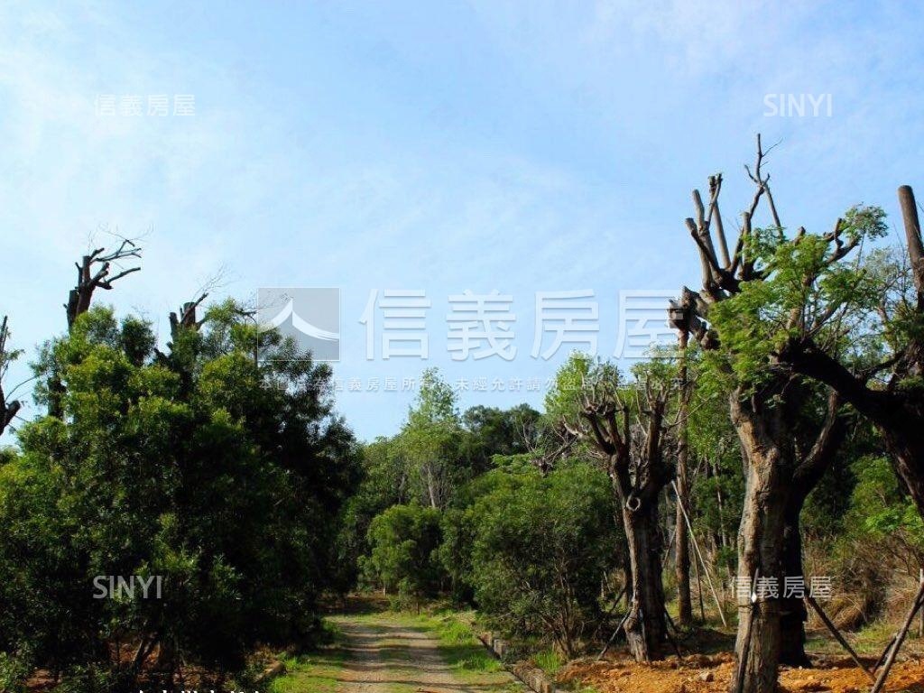 星巴克南屯忠勇路正對面房屋室內格局與周邊環境