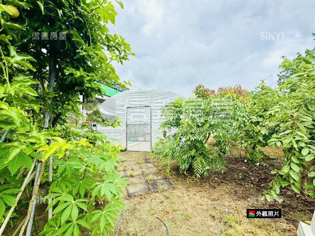 省道旁｜白河農地房屋室內格局與周邊環境